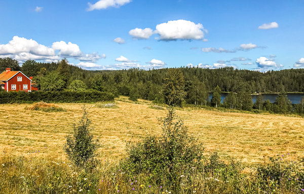 Holiday Home - Bengtsfors/Åsnebyn , Sweden - S73244 2