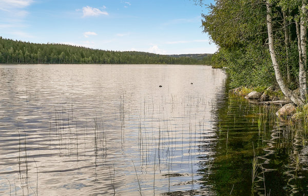 Semesterhus - Långtjärn , Sverige - S73272 901