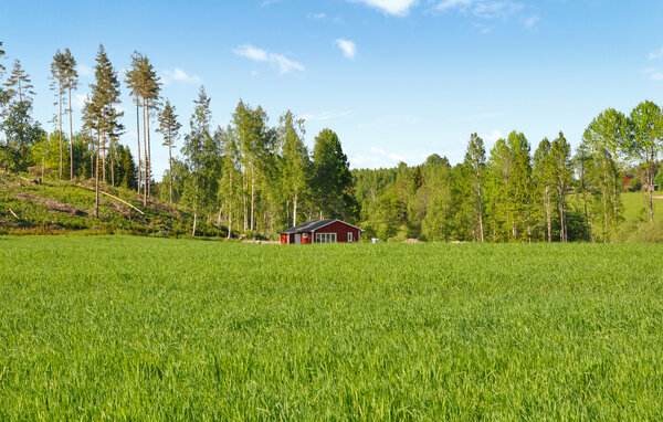 Semesterhus - Säffle/Bäntebo , Sverige - S73343 2