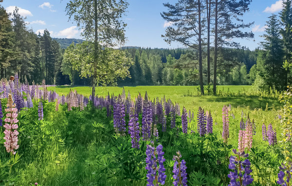 Ferienhaus - Gräsmark/Sunne , Schweden - S73375 2