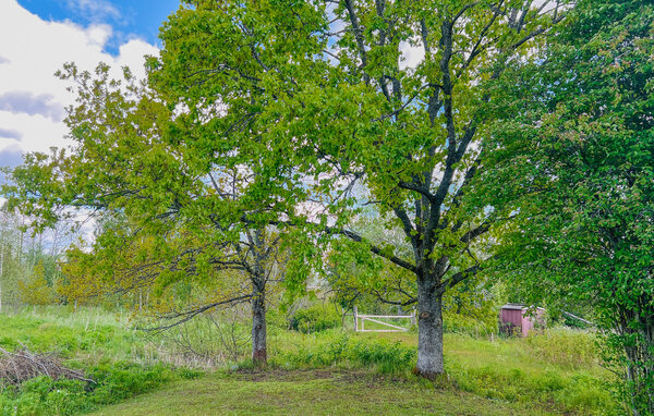 Semesterhus - Västra Ämtervik/Sunne , Sverige - S73430 101