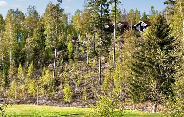 Semesterhus - Noretjärn Årjäng , Sverige - S73440 7