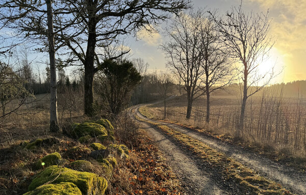Semesterhus - Noretjärn/Årjäng , Sverige - S73441 901