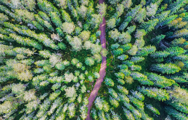 Semesterhus - Lesjöfors/Filipstad , Sverige - S73443 903
