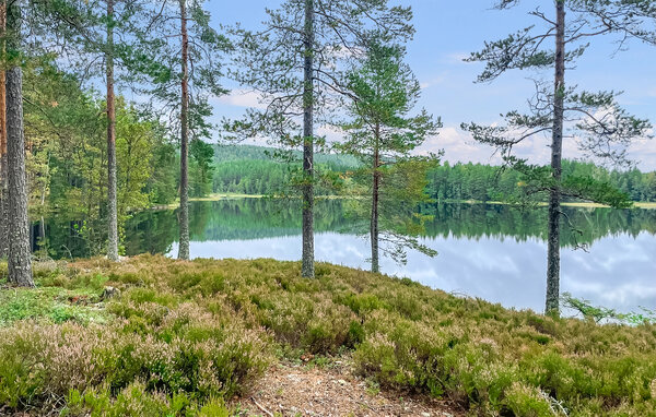 Ferienhaus - Töcksfors , Schweden - S73472 903