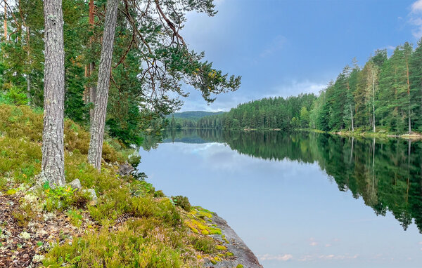 Ferienhaus - Töcksfors , Schweden - S73472 904