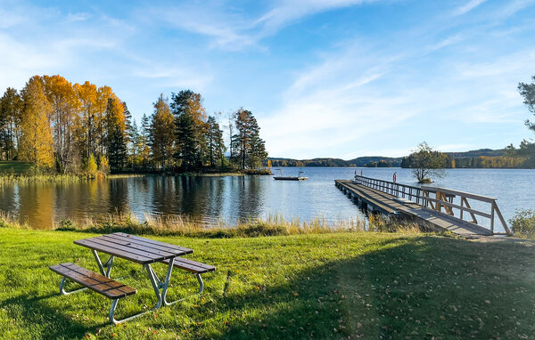 Feriehuse - Svanskog , Sverige - S73477 902