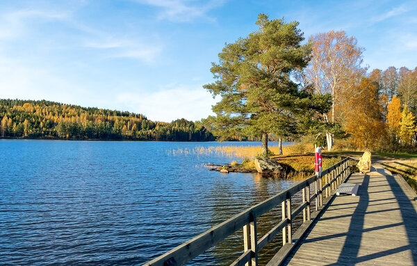 Feriehuse - Svanskog , Sverige - S73477 903