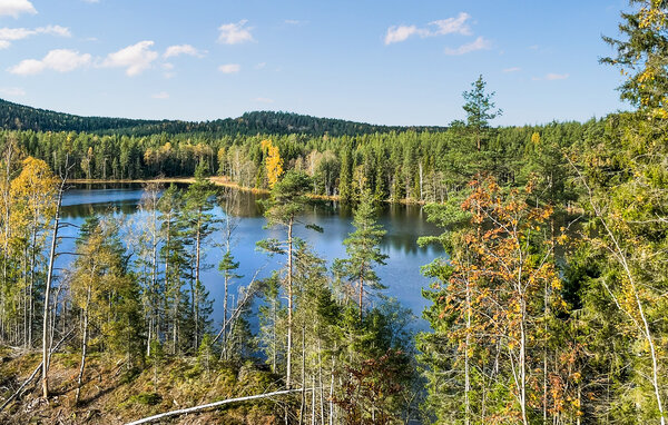 Domy wakacyjne - Åmål/Edsleskog , Szwecja - S73478 908
