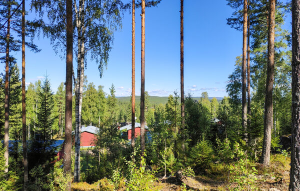 Ferienhaus - EKSHÄRAD/HAGFORS , Schweden - S73501 101