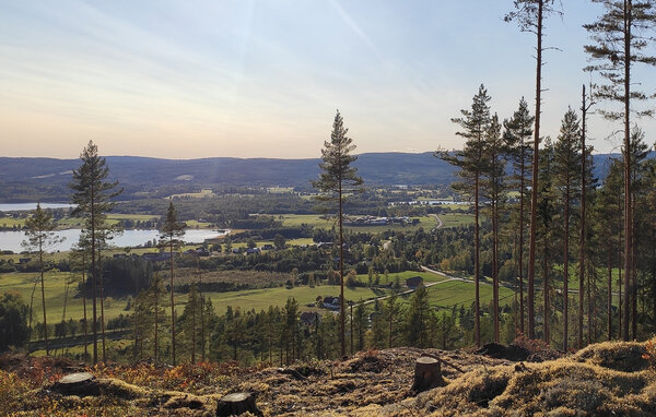 Ferienhaus - EKSHÄRAD/HAGFORS , Schweden - S73502 7