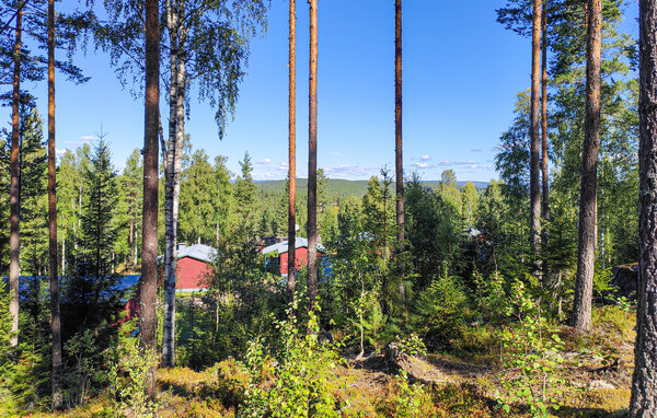 Ferienhaus - EKSHÄRAD/HAGFORS , Schweden - S73503 102