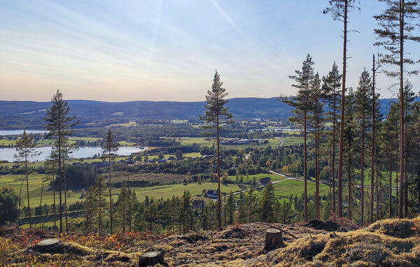 Ferienhaus - EKSHÄRAD/HAGFORS , Schweden - S73503 103