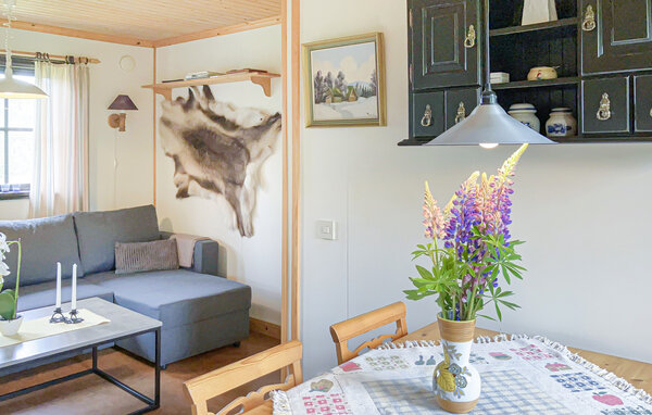 Semesterhus - Långrösta Hagfors , Sverige - S73607 4