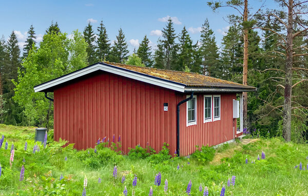 Semesterhus - Långrösta Hagfors , Sverige - S73607 81