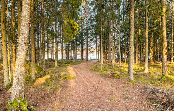 Casa vacanze - Ullvettern Storfors , Svezia - S73608 903