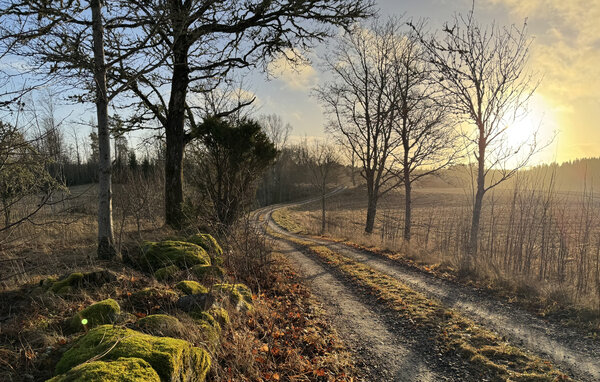 Semesterhus - Noretjärns Stugby , Sverige - S73616 901