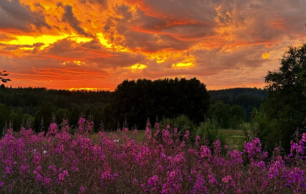Semesterhus - Noretjärns Stugby , Sverige - S73617 901