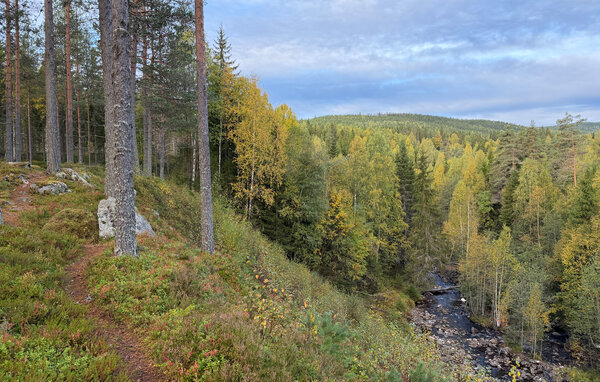 Semesterhus - Branäs Klarälvsbyn , Sverige - S73628 903