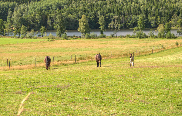 Location de vacances - Björkeberg , Suède - S73670 101