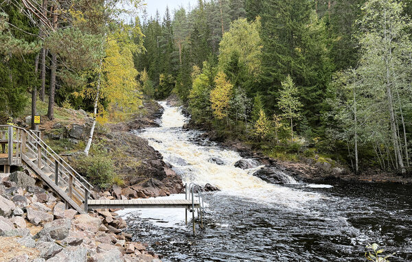 Semesterlägenhet - Branäs Gondolvägen , Sverige - S73736 902