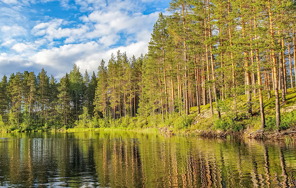 Semesterhus - Idre Kringelfjorden , Sverige - S84081 901