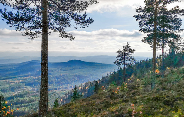 Apartman - Gåsvarv/Älvdalen , Svedska - S84129 2