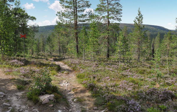 Location de vacances - Sälen/Tandådalen , Suède - S84180 6
