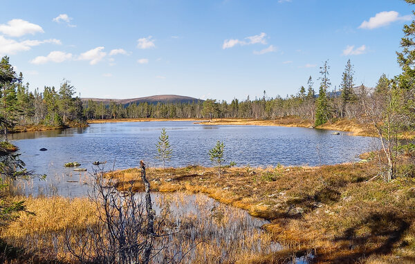 Semesterhus - Öjvassla Särna , Sverige - S84227 905
