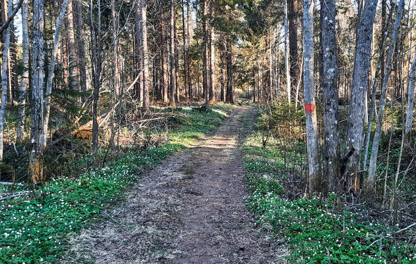 Semesterhus - Södra Moje/Leksand , Sverige - S84243 905
