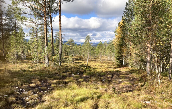 Feriehus - Sälen/Stöten , Sverige - S84245 901