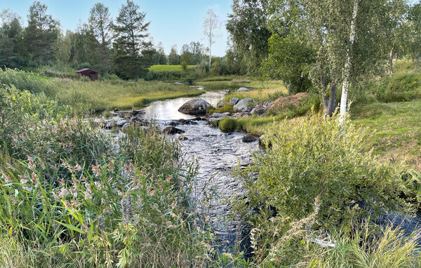 Ferienhaus - Kårböle , Schweden - S87088 901