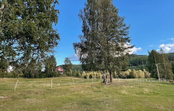 Ferienhaus - Kårböle , Schweden - S87088 904