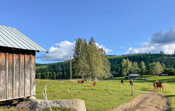 Ferienhaus - Kårböle , Schweden - S87088 905