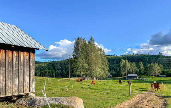 Ferienhaus - Kårböle , Schweden - S87090 904