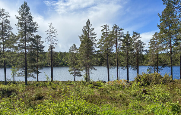 Ferienhaus - Åmot , Schweden - S87104 107