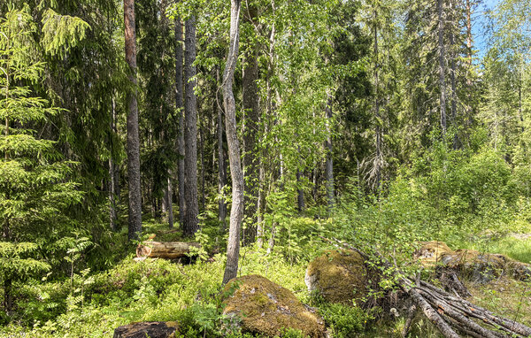 Semesterhus - Heden , Sverige - S87107 102