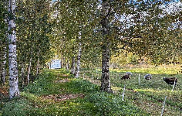 Apartament - Gävleborg , Szwecja - S87117 904