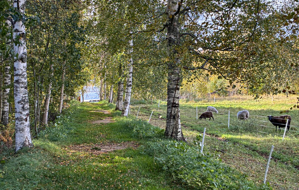 Apartament - Jädraås , Szwecja - S87118 905