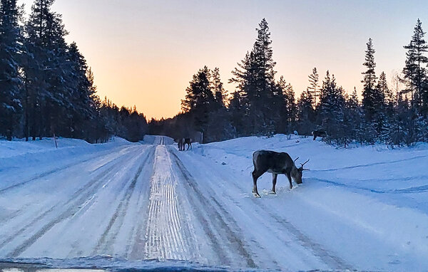 Semesterhus - Funäsdalen , Sverige - S90068 8