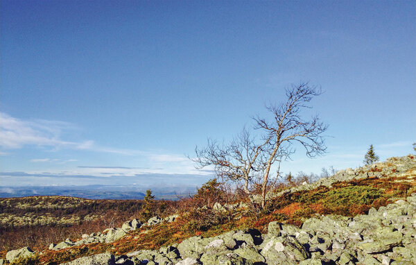 Semesterlägenhet - Vemdalen/Björnrike , Sverige - S90069 903