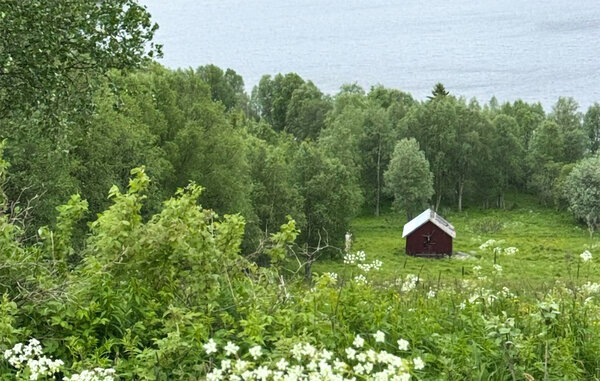 Ferienhaus - Åre , Schweden - S90117 1