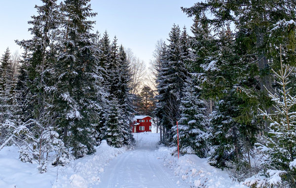 Domy wakacyjne - Domsjö , Szwecja - S93054 105