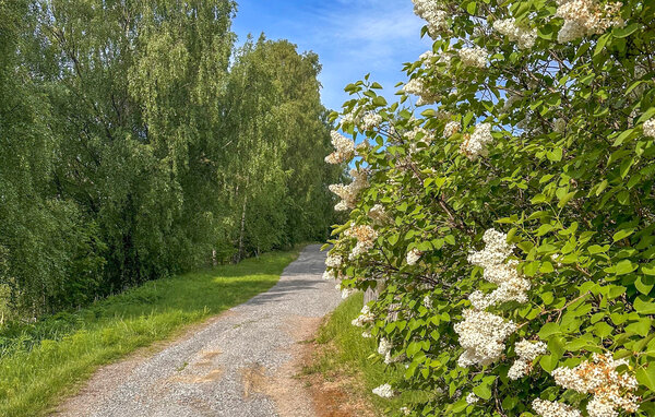 Apartament - Sundsvall , Szwecja - S93130 901