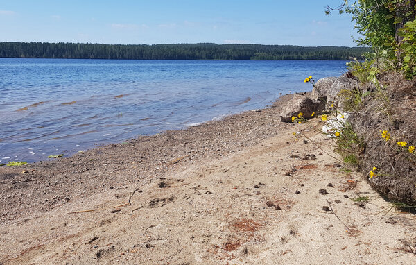 Holiday Home - Bjurholm , Sweden - S95093 902