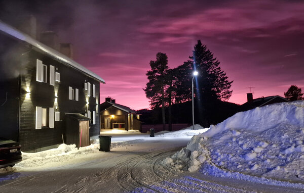 Ferienwohnung - Kåbdalis/Jokkmokk , Schweden - S98038 103