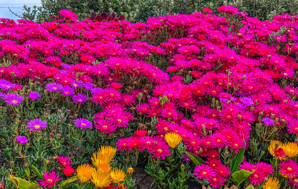 Feriehuse - Malmo , Sverige - S99999 901