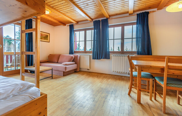 Apartman - Hocko Pohorje , Slovenija - SSR069 302