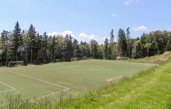 Apartman - Hocko Pohorje , Slovenija - SSR070 910