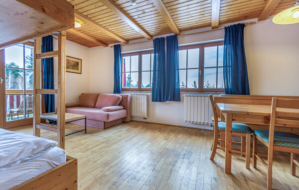 Apartman - Hocko Pohorje , Slovenija - SSR072 302